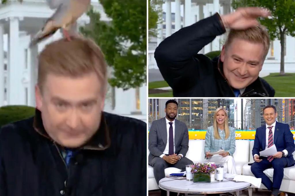 FOX NEWS BIRDS 'PEET DOOCY outside the White House as the edges of the mouse around the information room